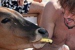 Дима Билан целовался с коровами