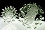 Американскими исследователями в Грузии выявлен неизвестный ранее вирус оспы