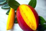 Учеными подтверждено наличие у манго антираковых качеств