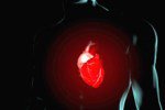 Создан биологический кардиостимулятор с использованием генной терапии