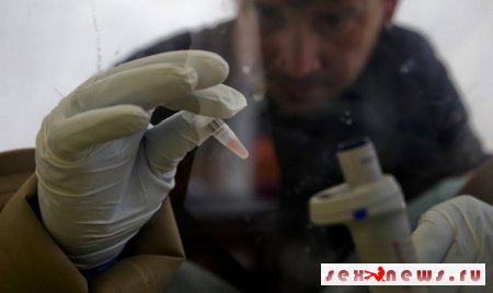 Африканские страны будут совместно вести борьбу со вспышкой Эболы