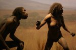 В распутстве современных женщин виноваты их обезьяноподобные предки