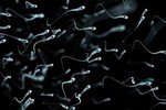 Эксперты призывают мужчин к заморозке спермы